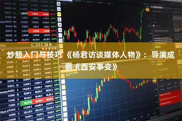 炒股入门与技巧 《杨君访谈媒体人物》:导演成荫《西安事变》
